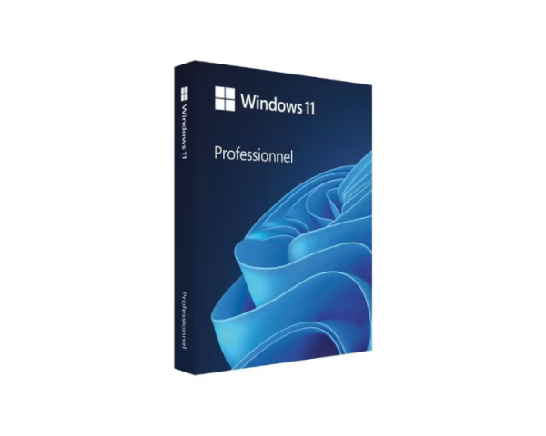 Windows 11 Pro 64Bit French 1pk DSP OEI DVD